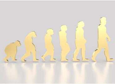 Domain Specific Competency Frameworks